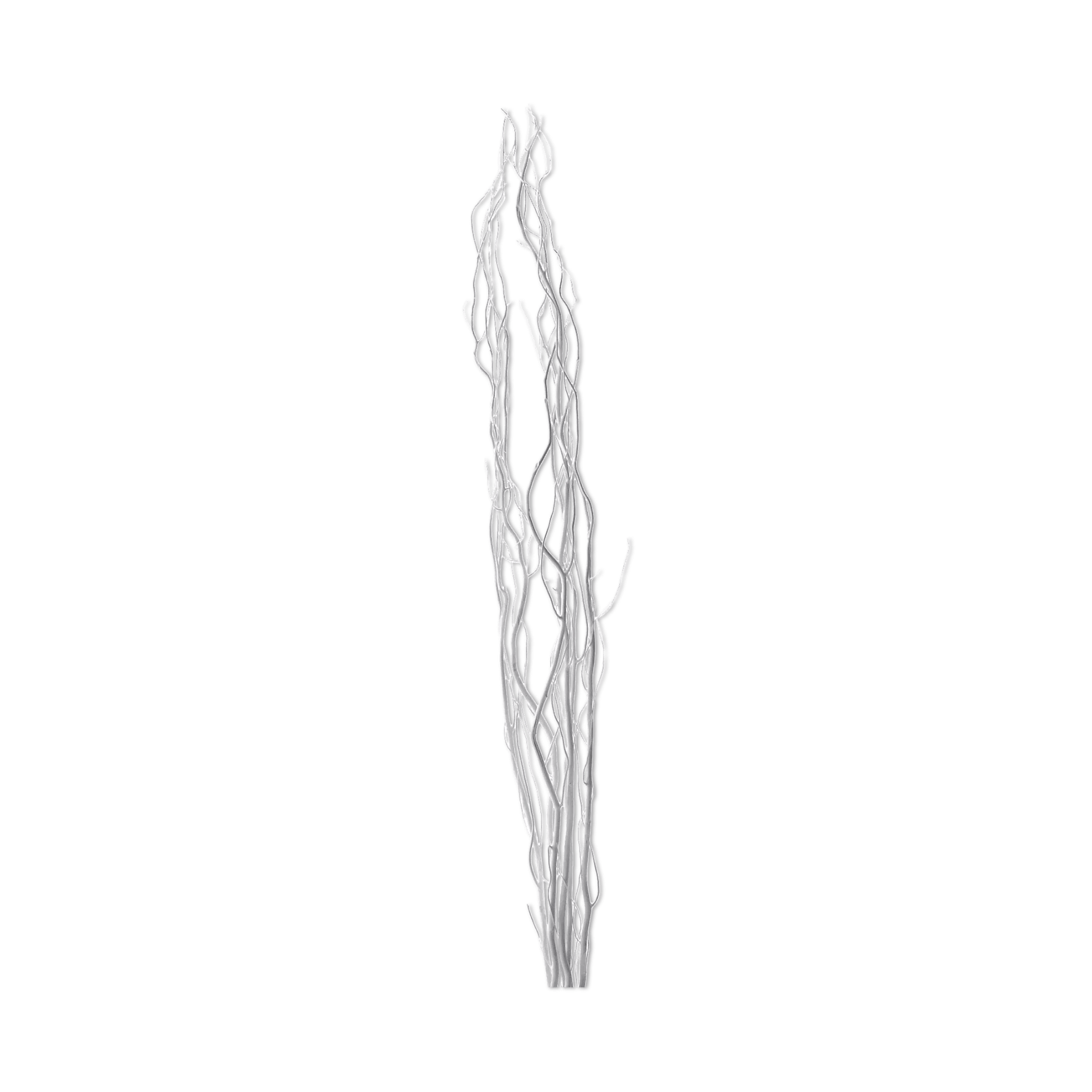 Branches