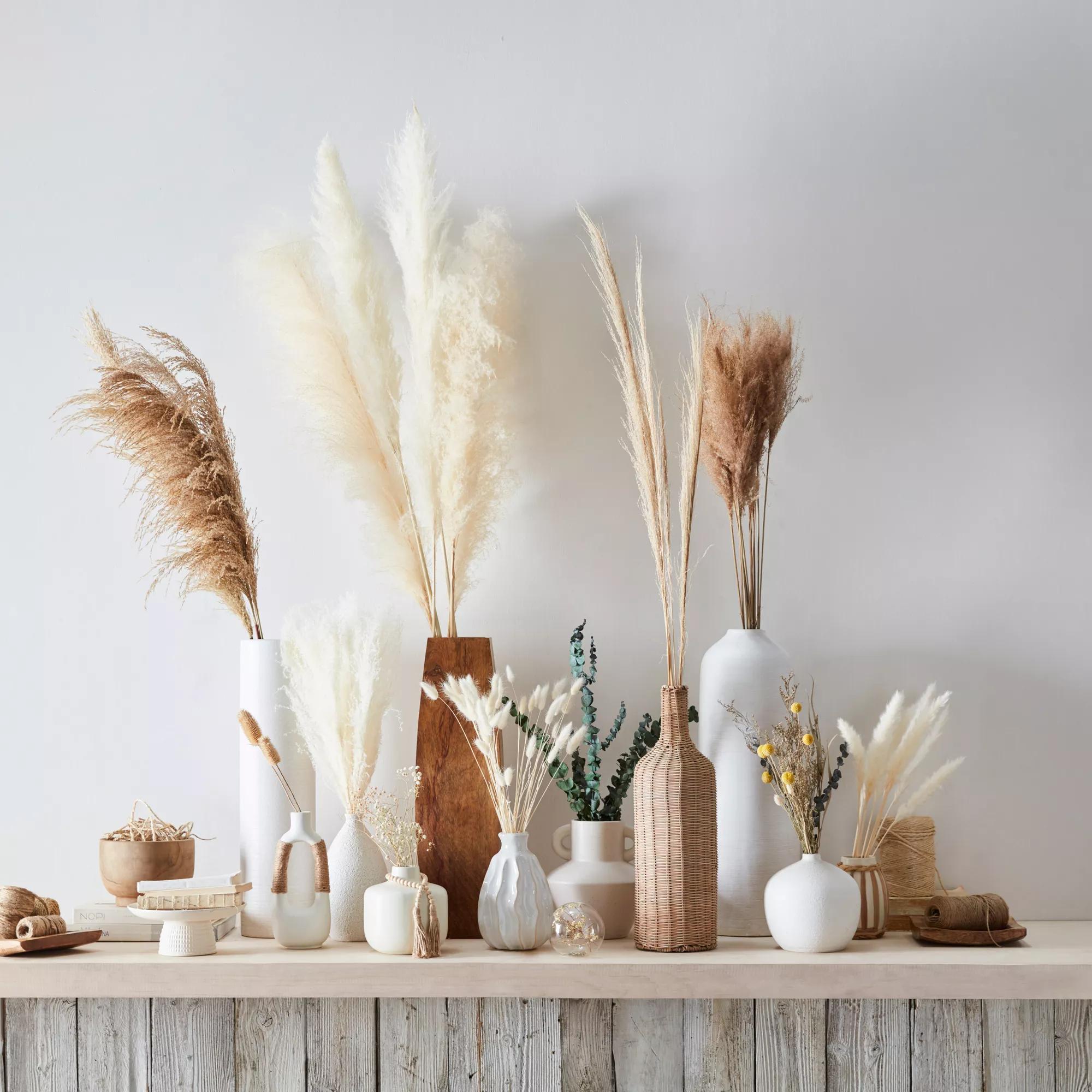 Decorative Pampas