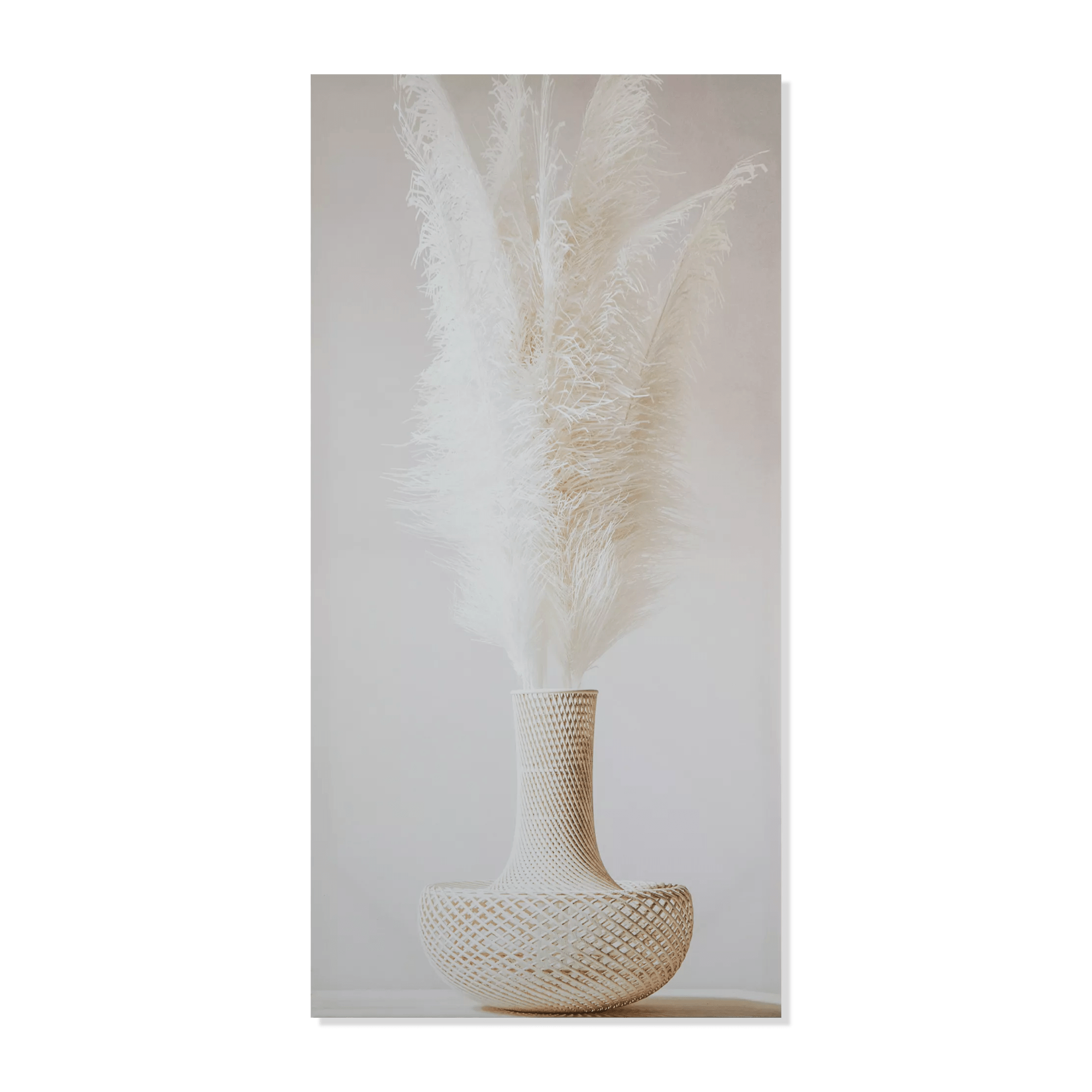 White Pampas in Vase Canvas