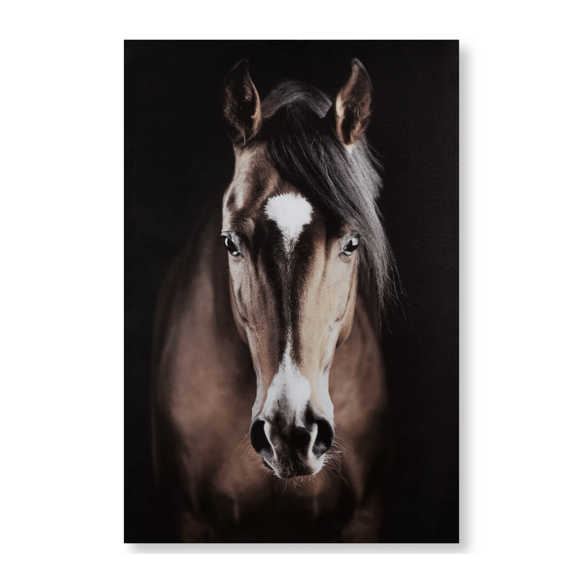 Tableau imprimé cheval brun