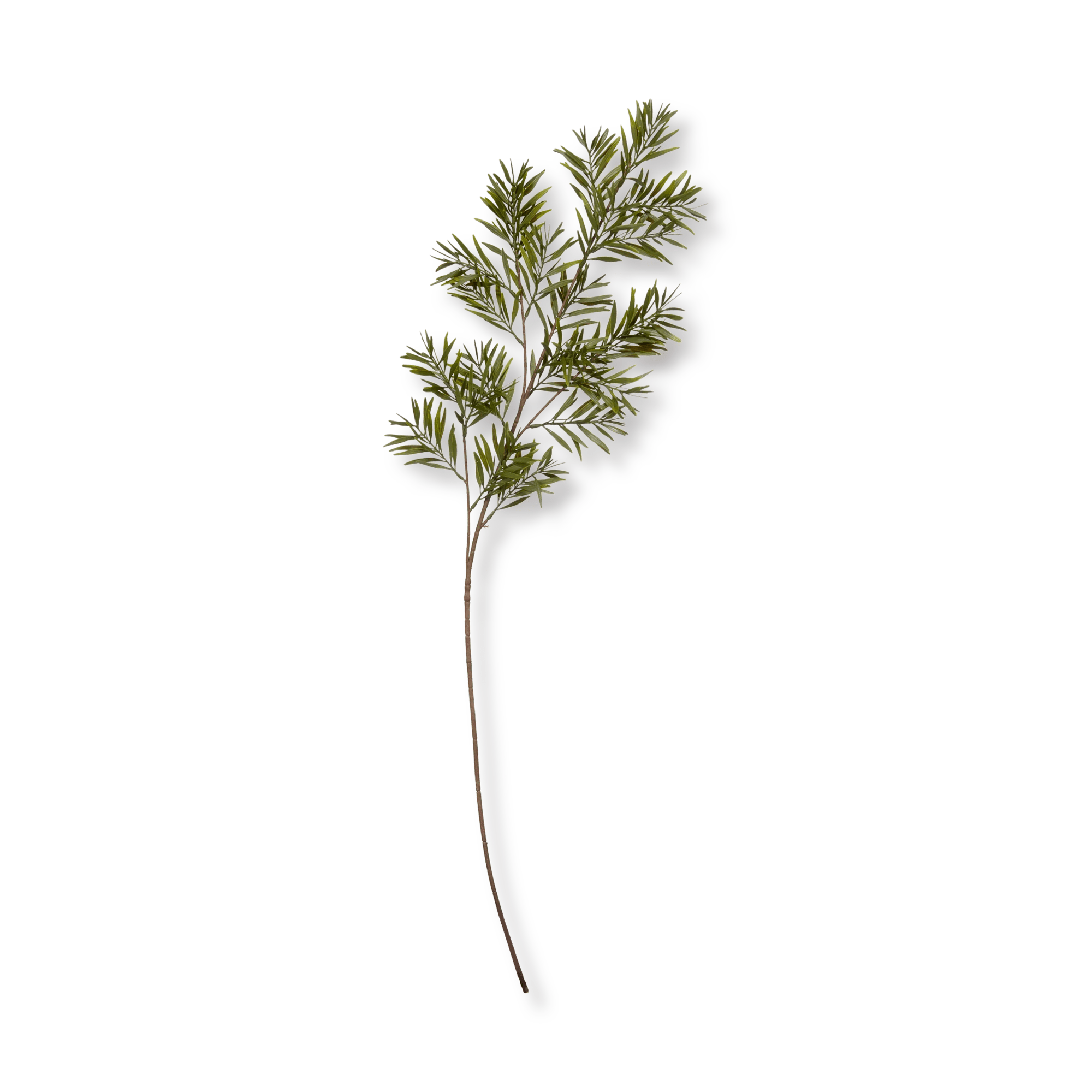 Artificial Leaves
