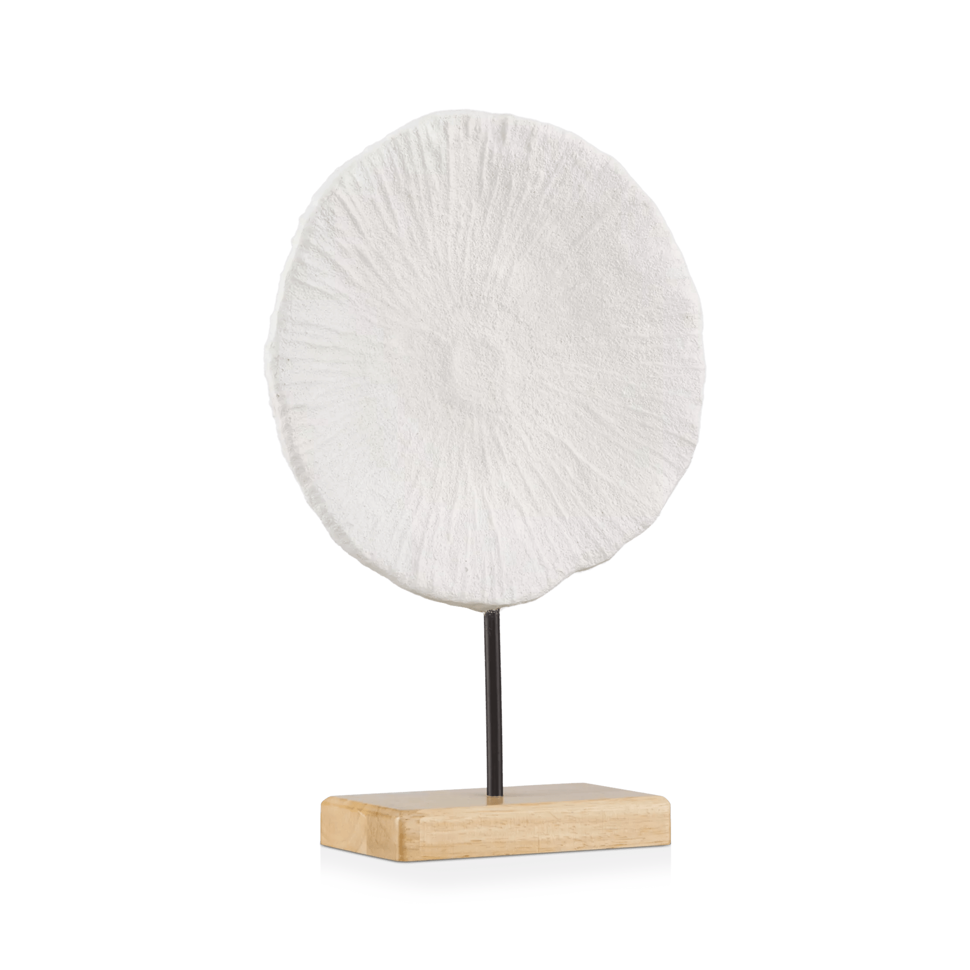 Coquillage décoratif sur pied