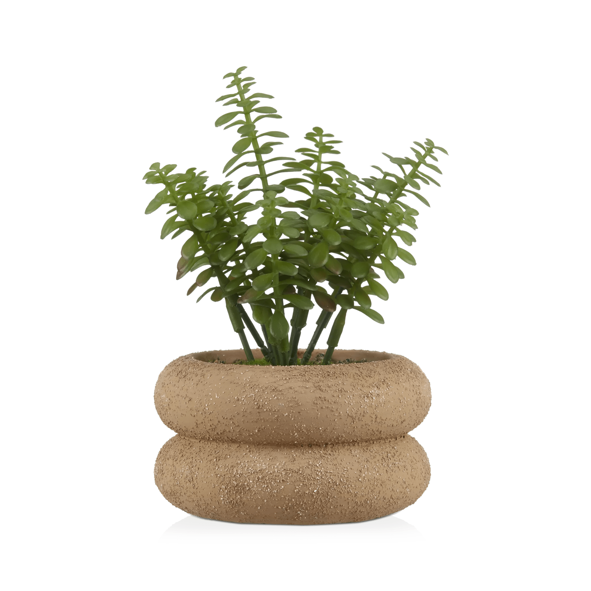 Plante artificielle dans un pot en céramique