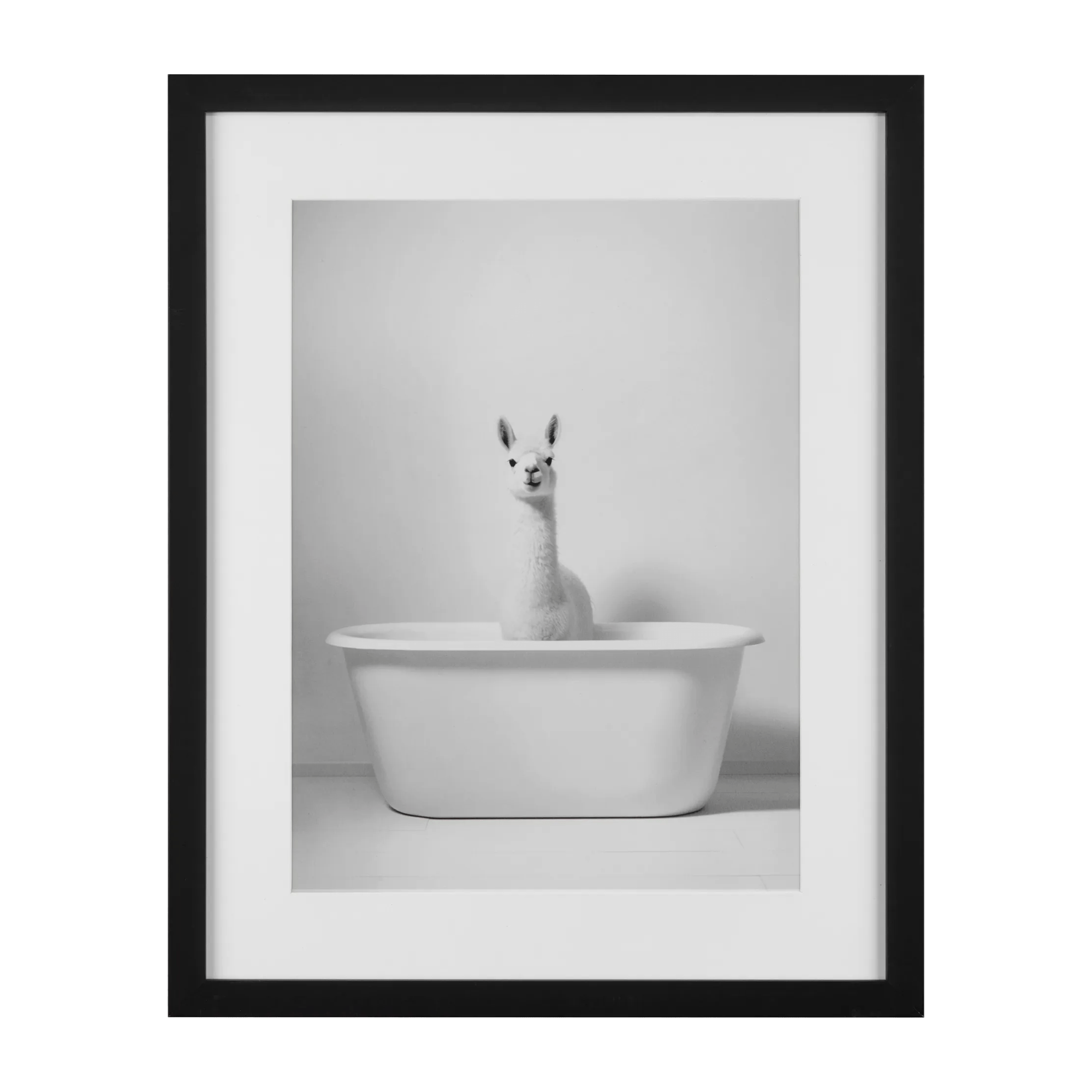 LLama in Bathtub Printed Framed Canvas