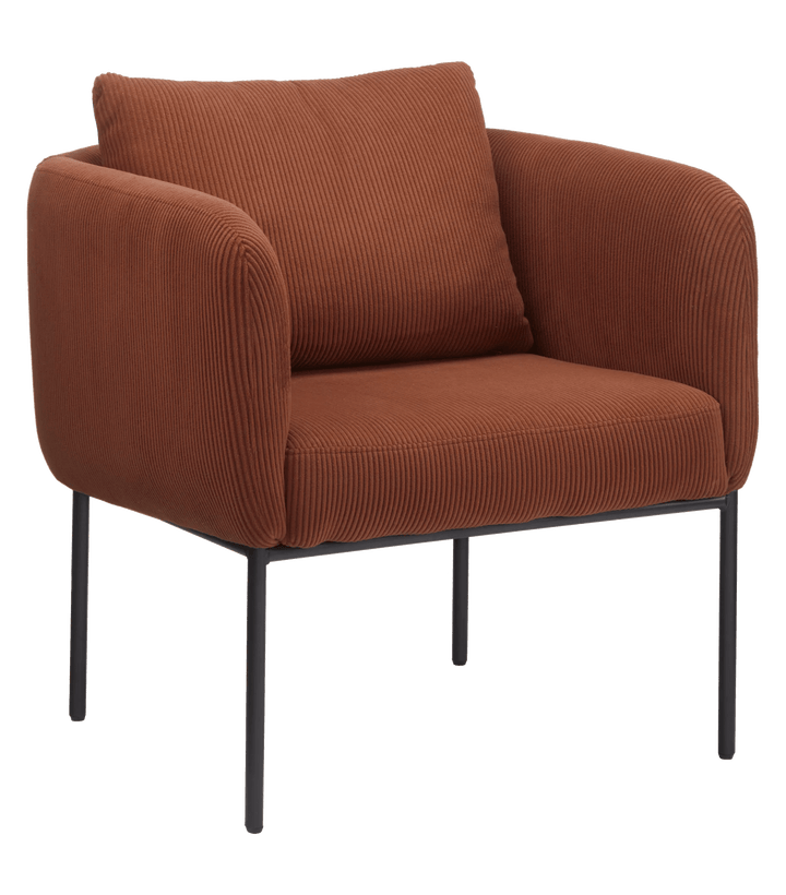 Fabric and Metal Accent Chair
