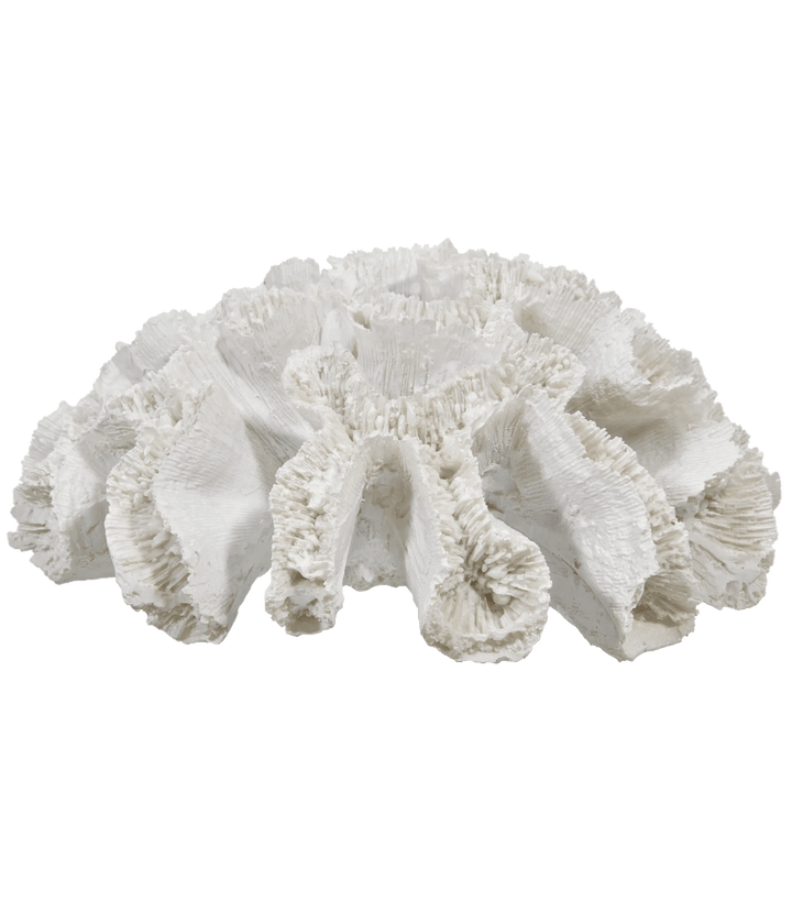 Decorative Coral