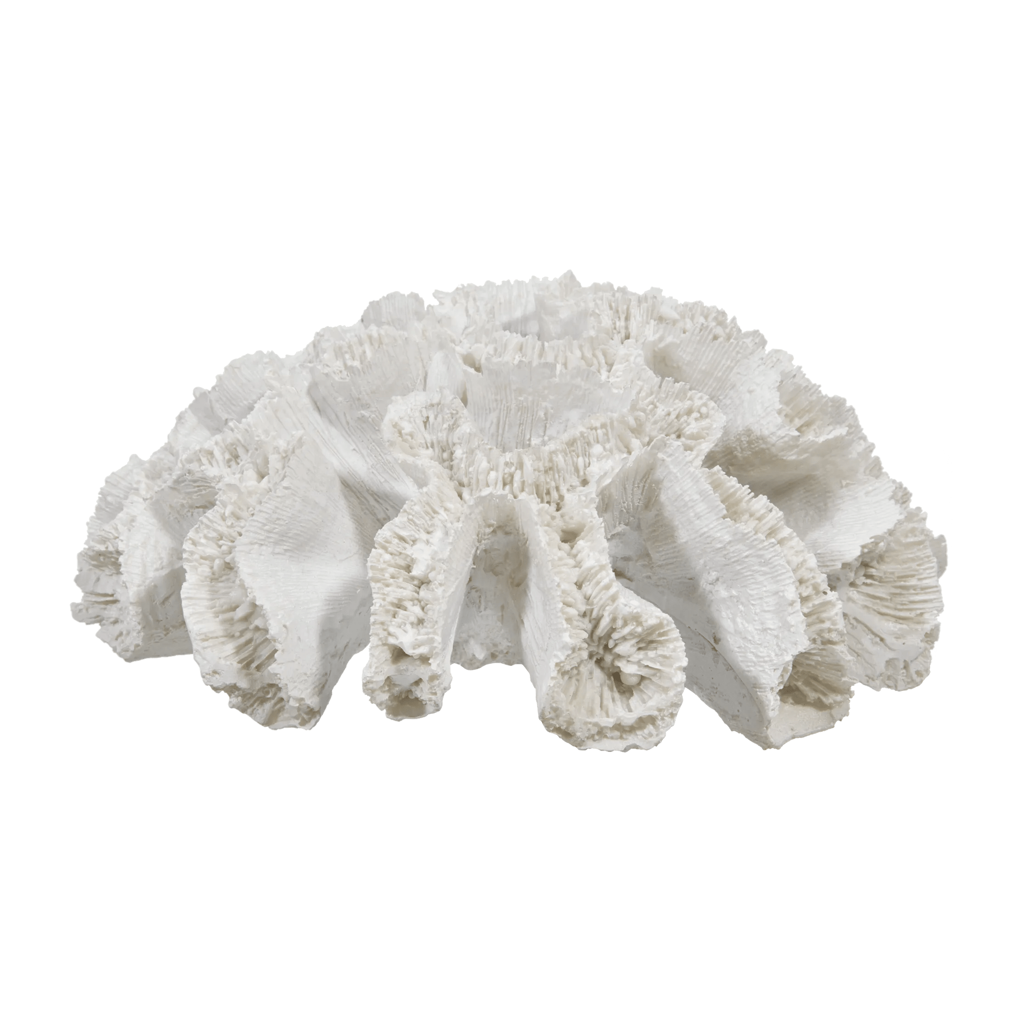 Decorative Coral