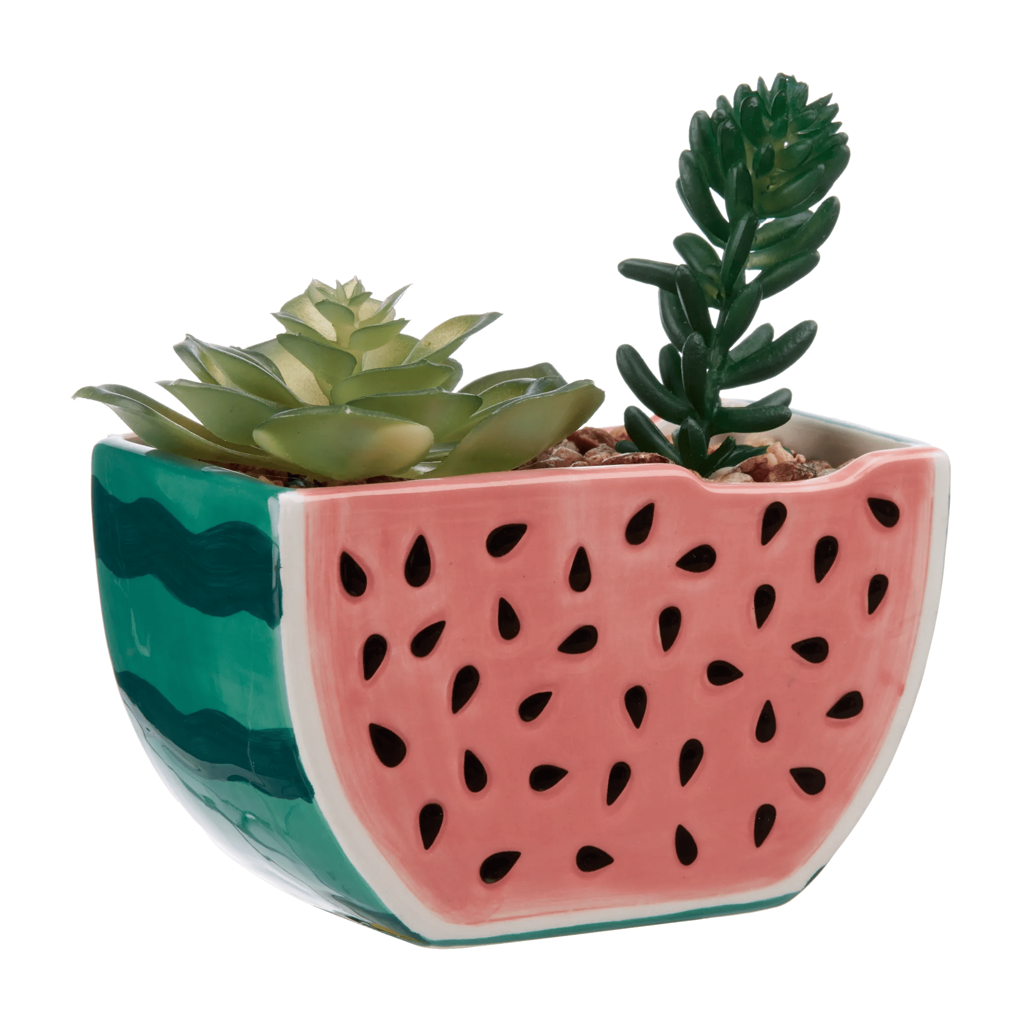 Greenery in Watermelon Pot