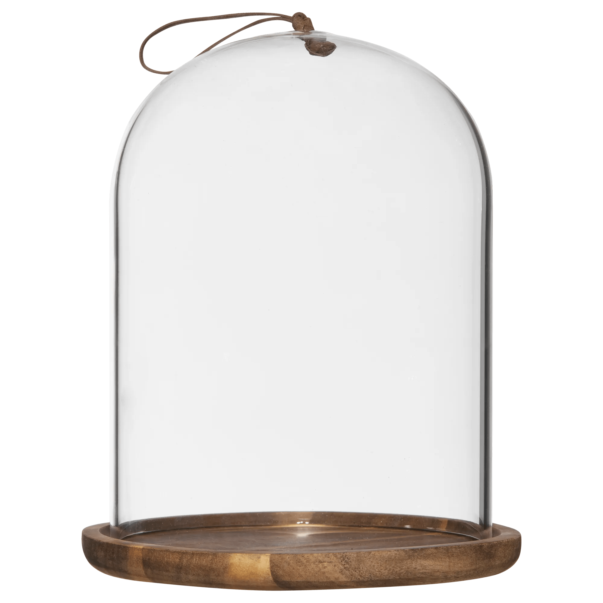 Cloche bombée transparente GN 1/2 ouverture frontale - Cloches : Buffet Cloche bombée transparente GN 1/2 ouverture frontale - Cloches : Buffet