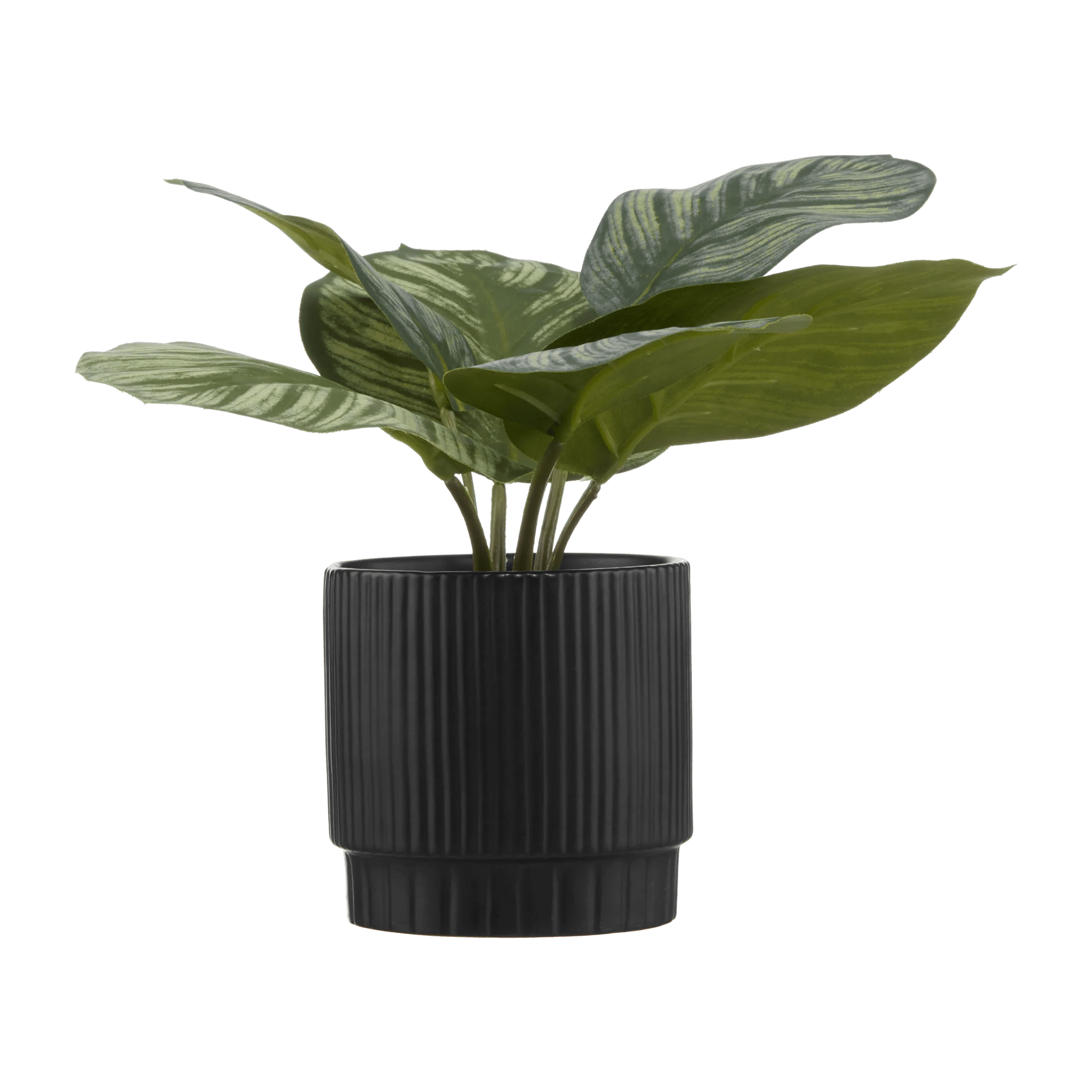 Artificial Plant in Striped Ceramic Pot