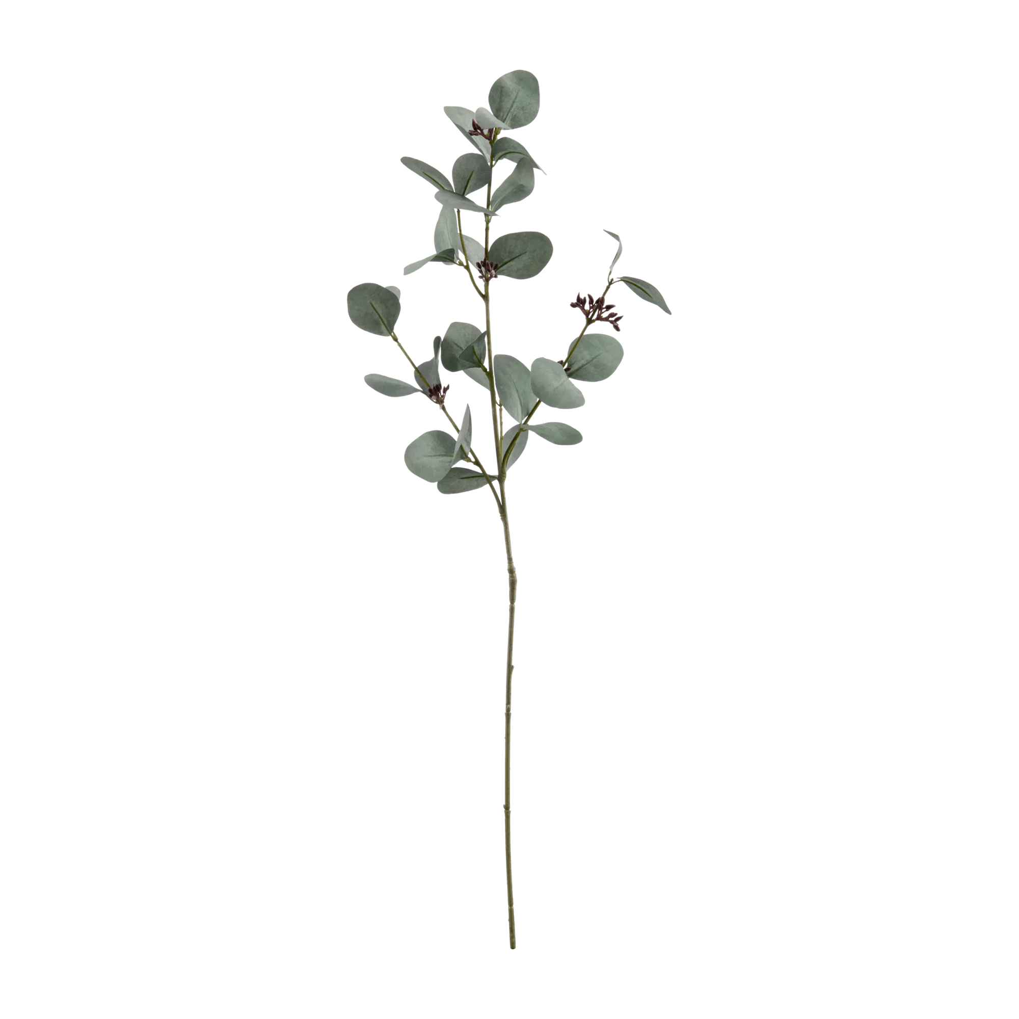 Artificial Eucalyptus Stem