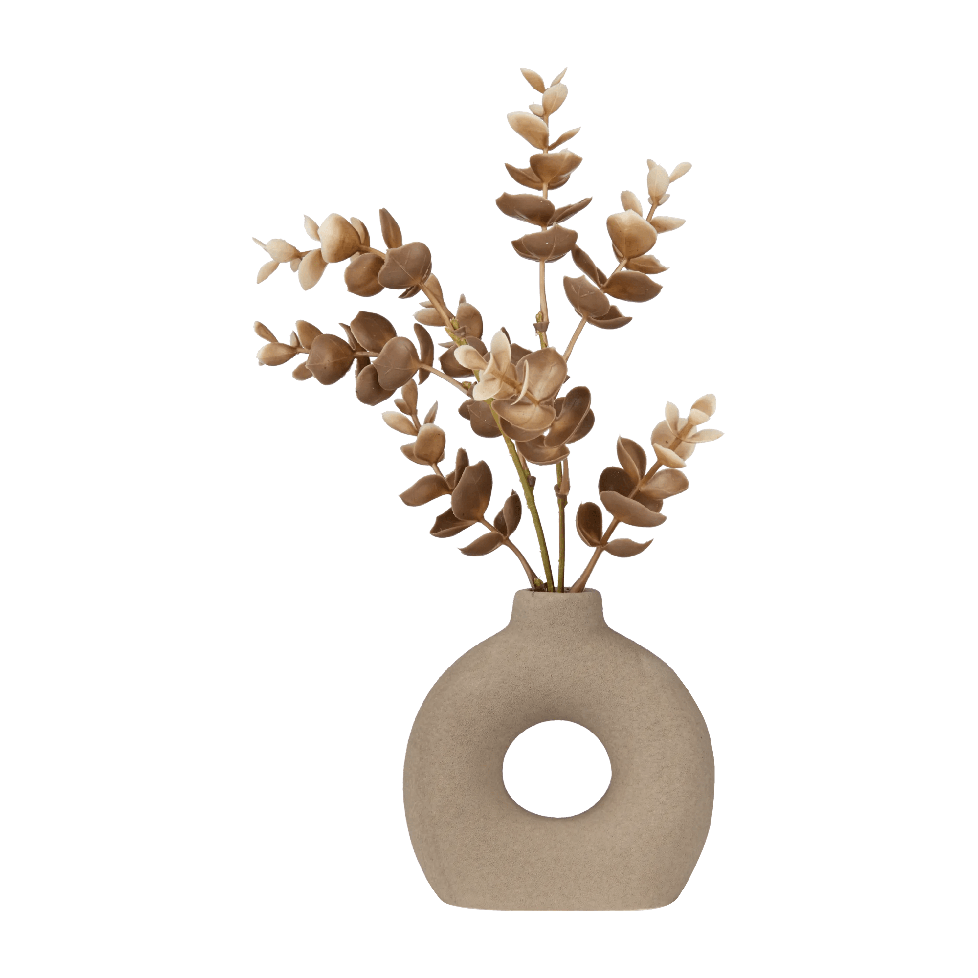 Eucalyptus in Loop Vase