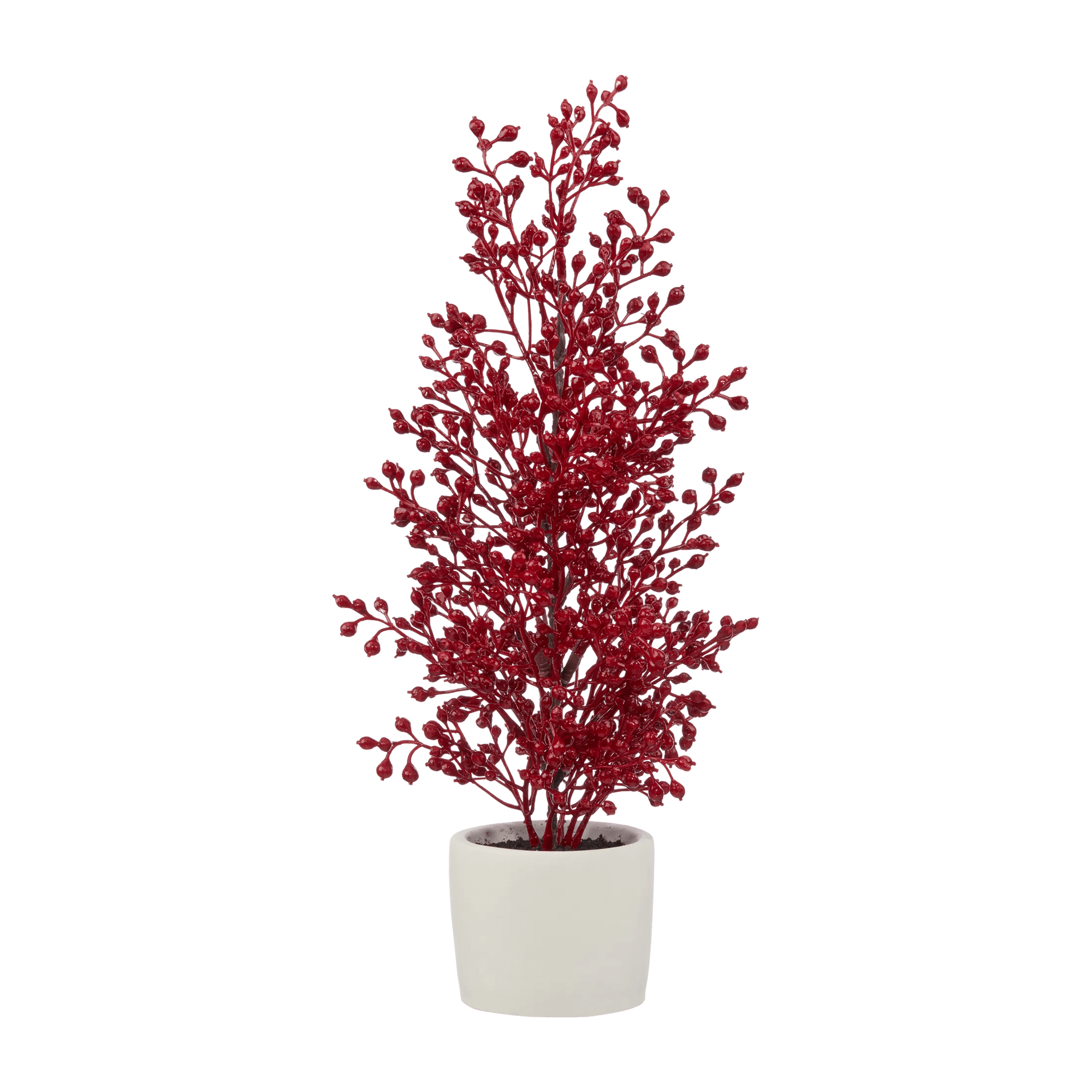 Red Bead Tree in Ceramic Pot