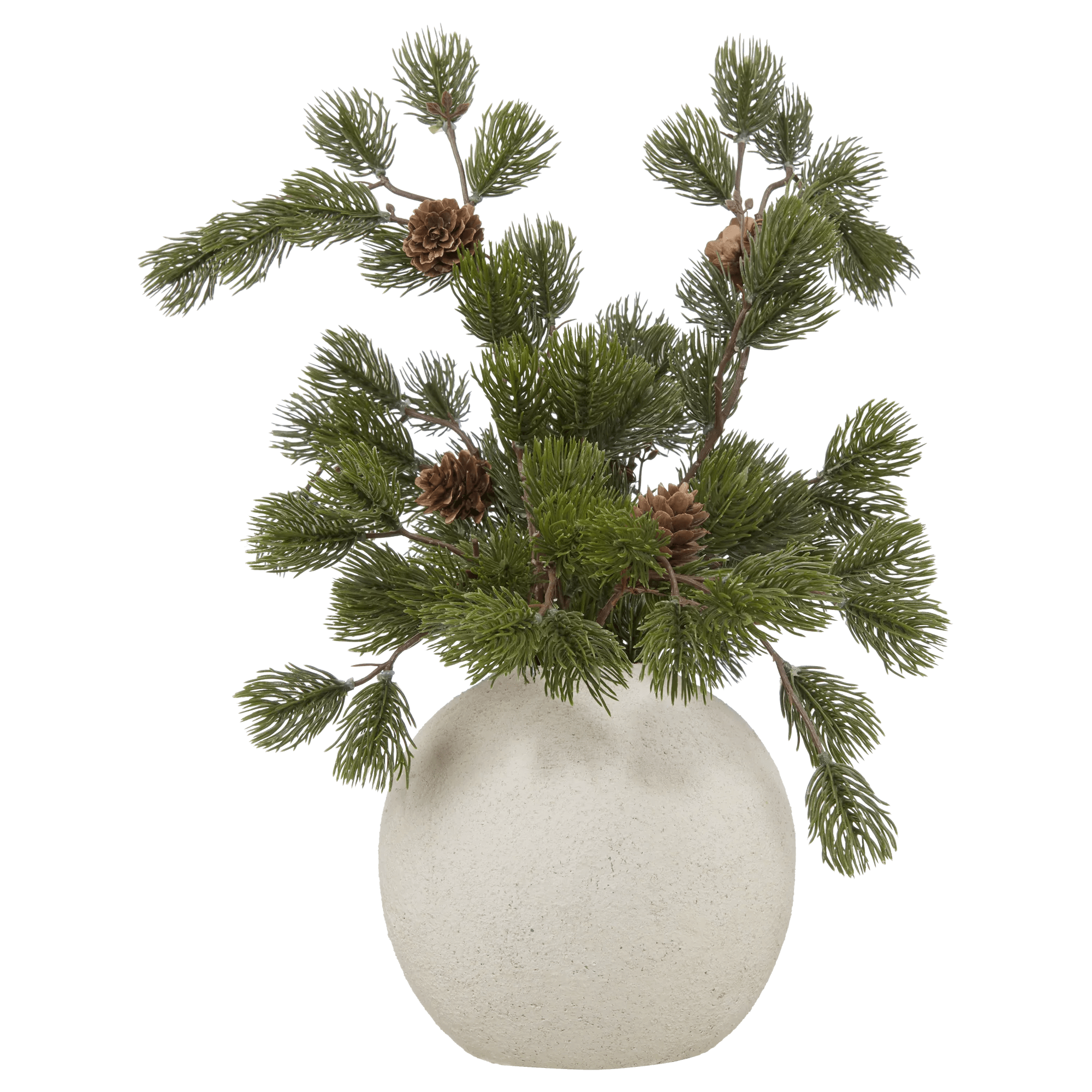 Branch with Pine Cones in Ceramic Pot