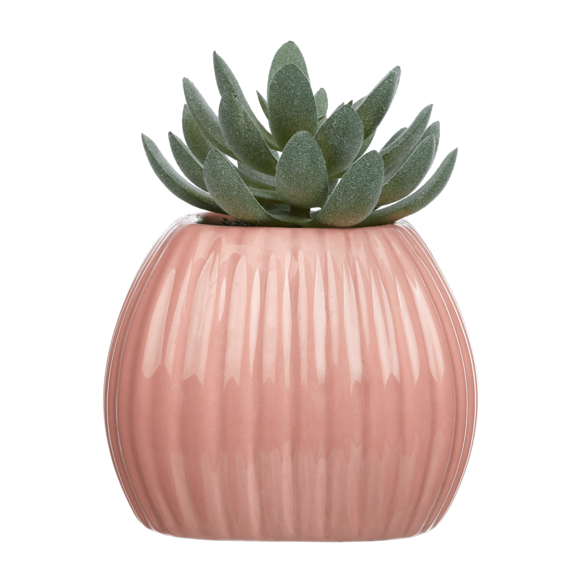 Verdure dans un vase côtelé rose