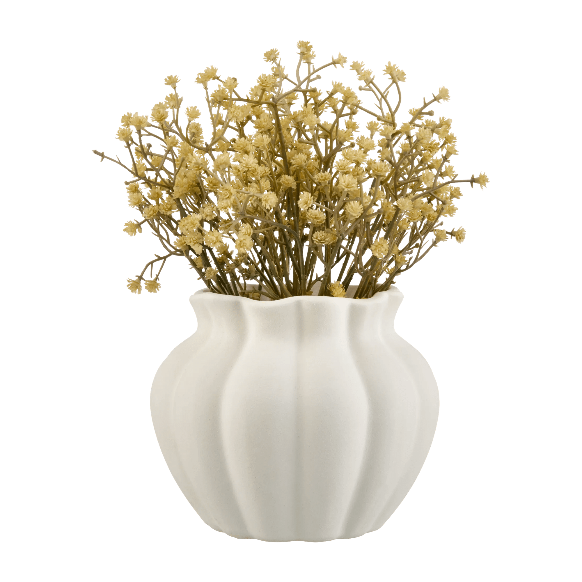 Yellow Gypsohila in Pot – Bouclair 