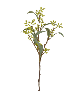 Branches