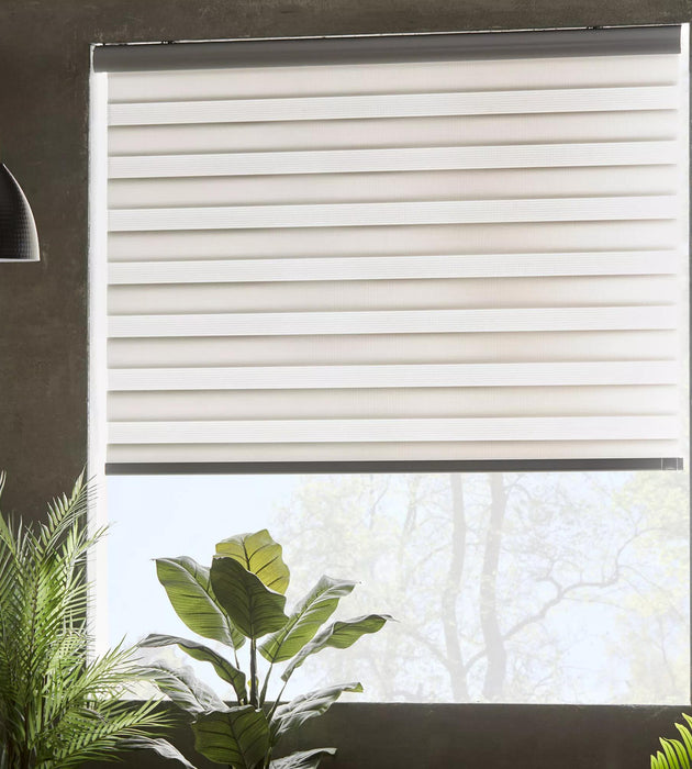 Curtains & Blinds