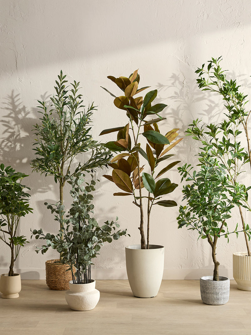 All Greenery Options | Faux Decor Canada | Bouclair