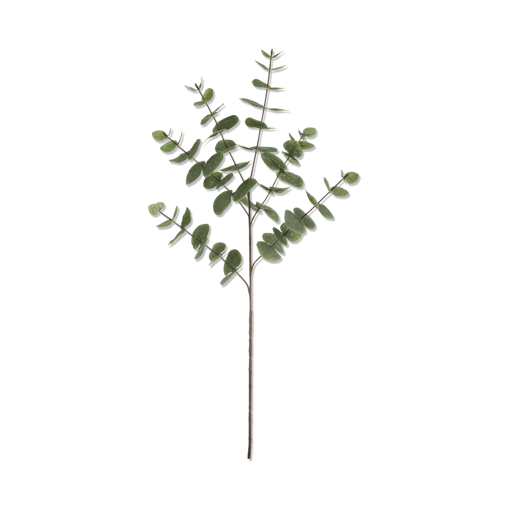 Tige d'eucalyptus artificielle