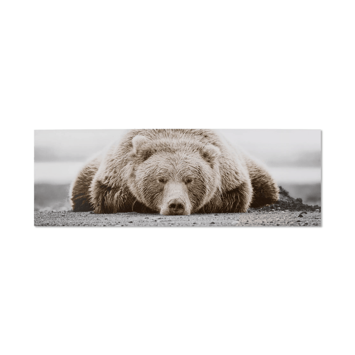 Tableau imprimé Ours
