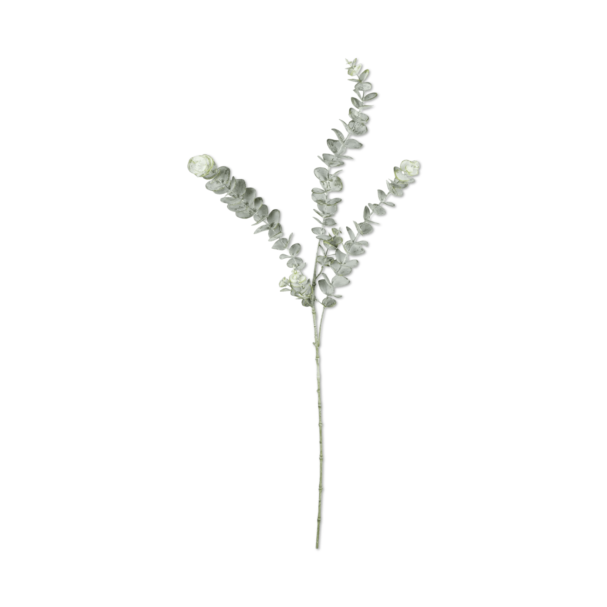 Artificial Eucalyptus Stem