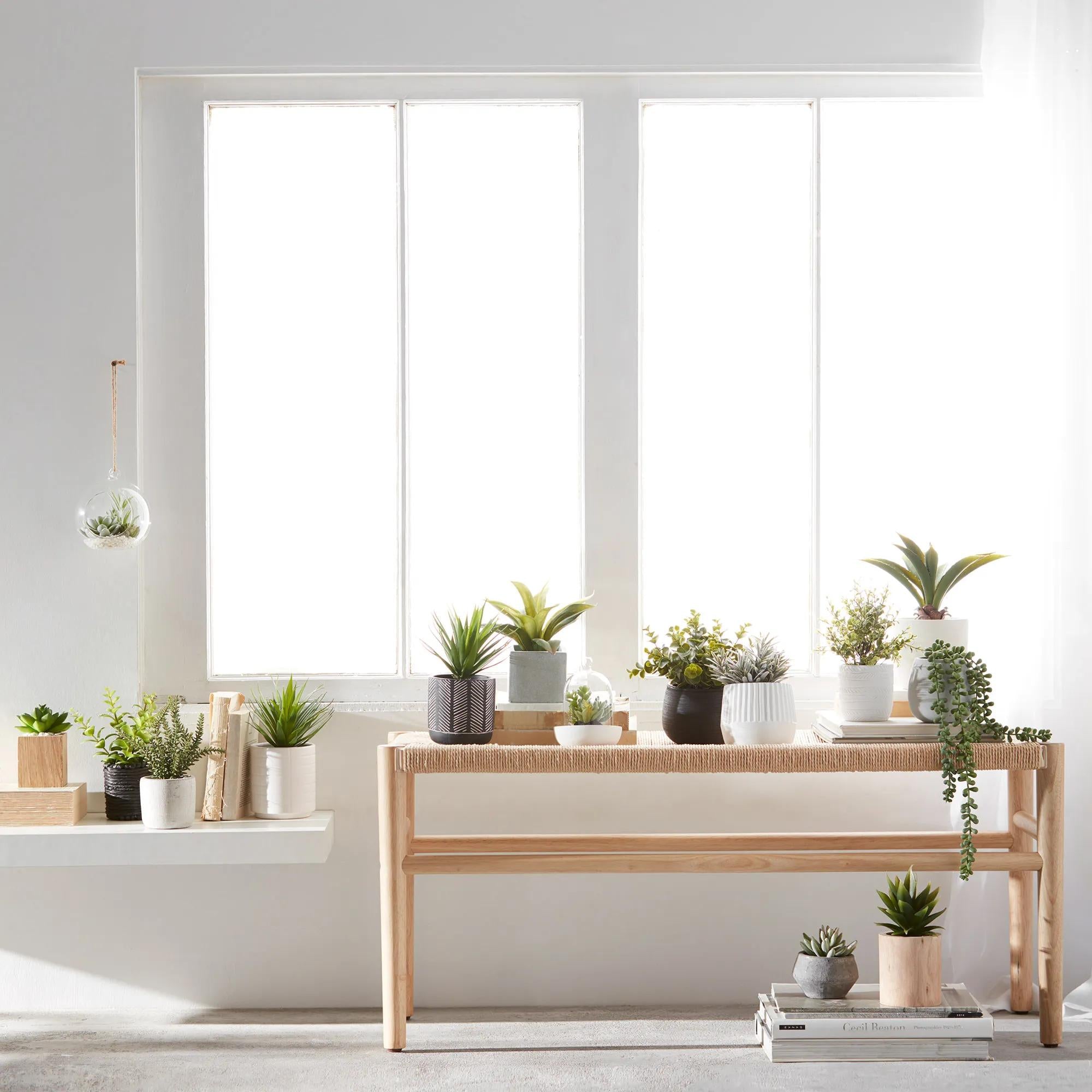 hanging terrarium with fake plants Hanging Terrarium with Artificial Succulent – Bouclair