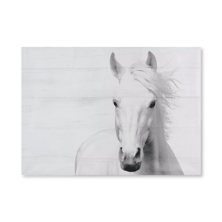 Horse On Planks Printed Canvas