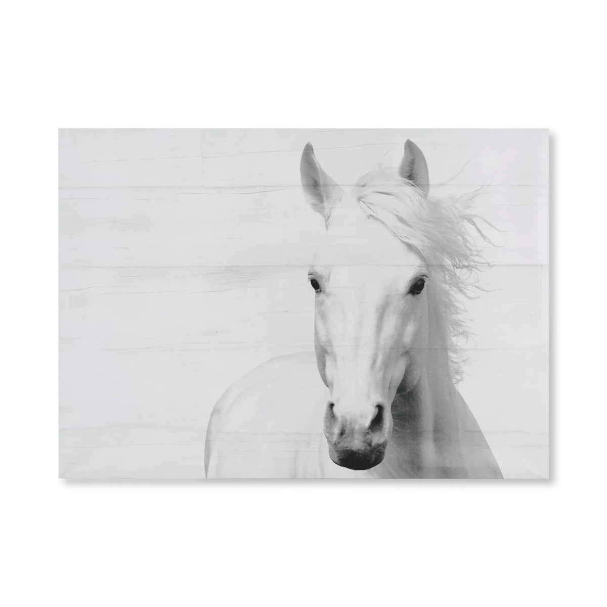 Horse On Planks Printed Canvas