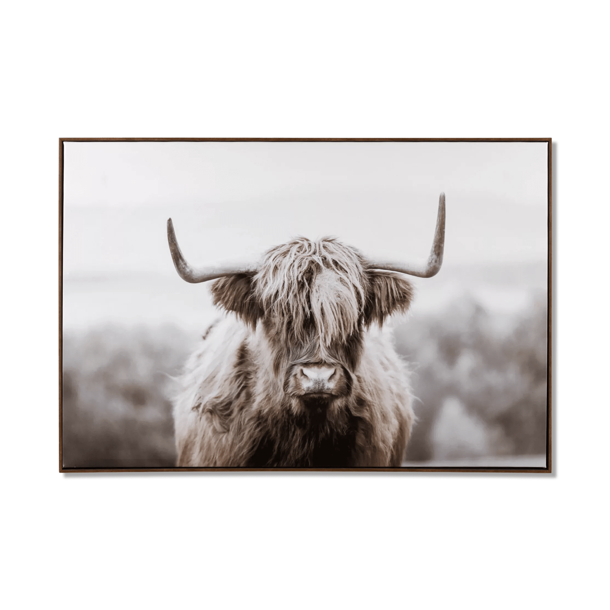 Cadre imprimé vache Highland