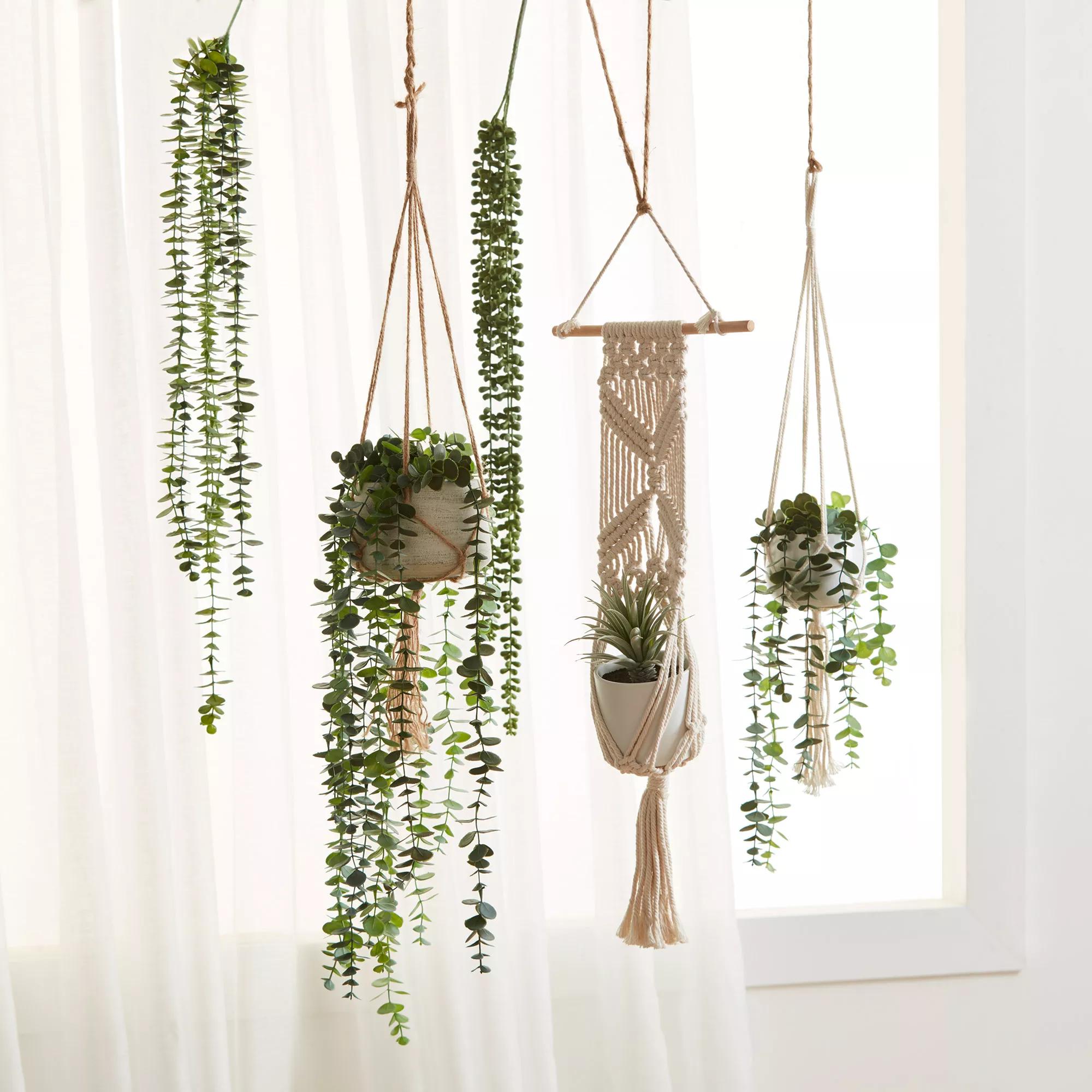 fake hanging plant macrame Macrame Potted Greenery – Bouclair