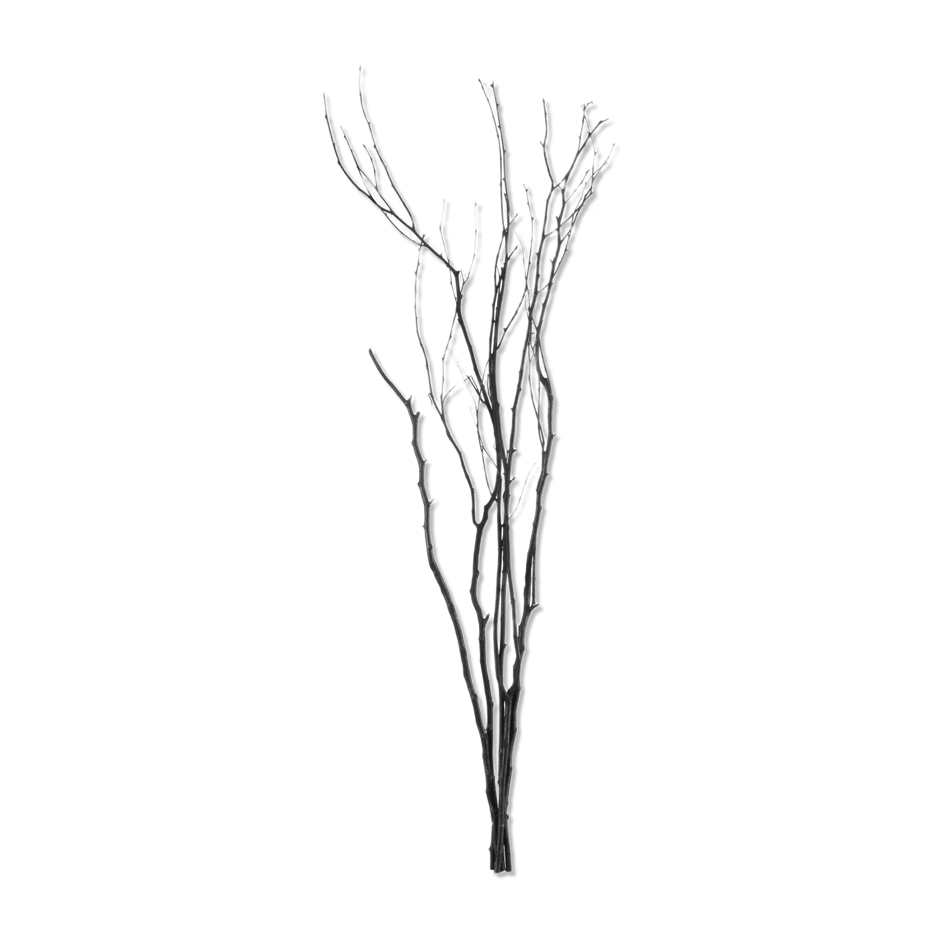 Branches