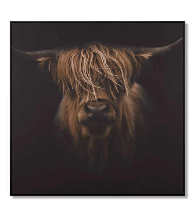 Scottish Highland Cattle Framed Printed Canvas