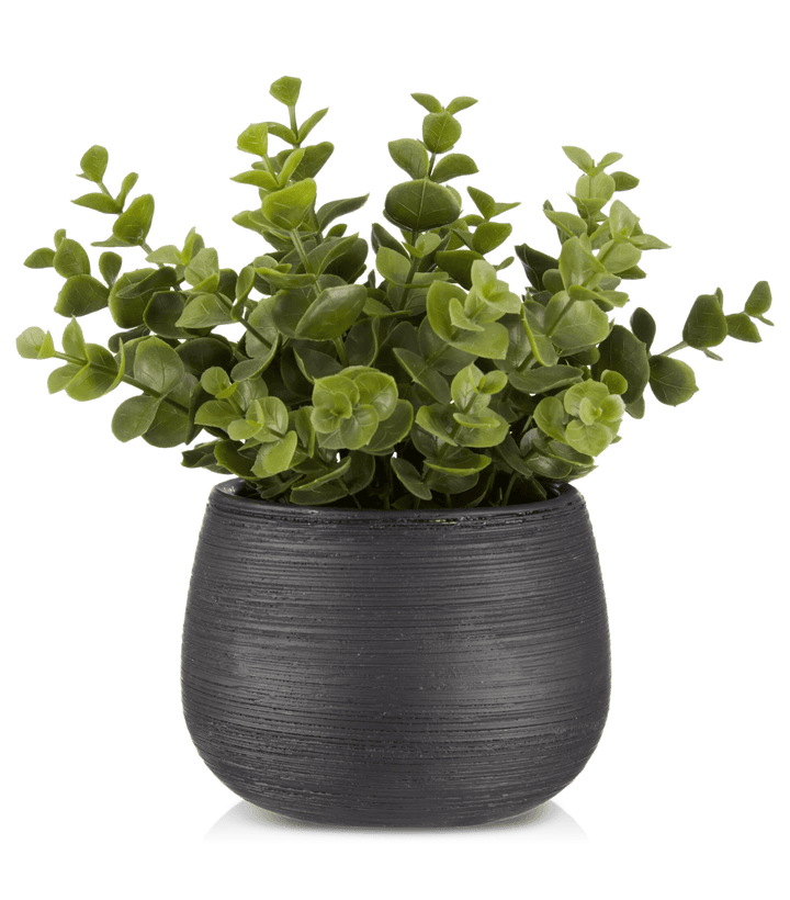 Plante artificielle en pot noir rayé