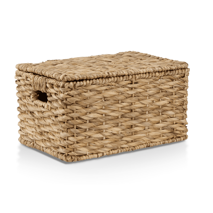 Water Hyacinth Storage Trunk