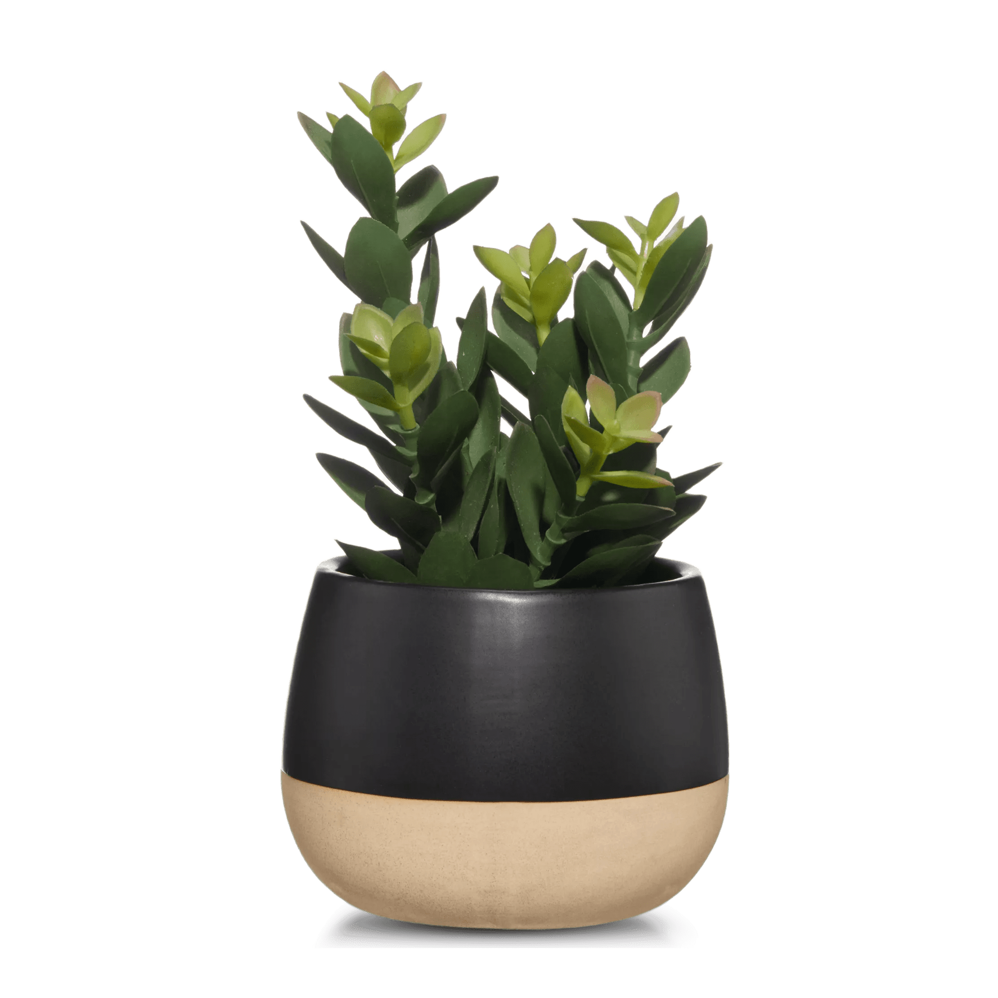 Plante artificielle en pot bicolore