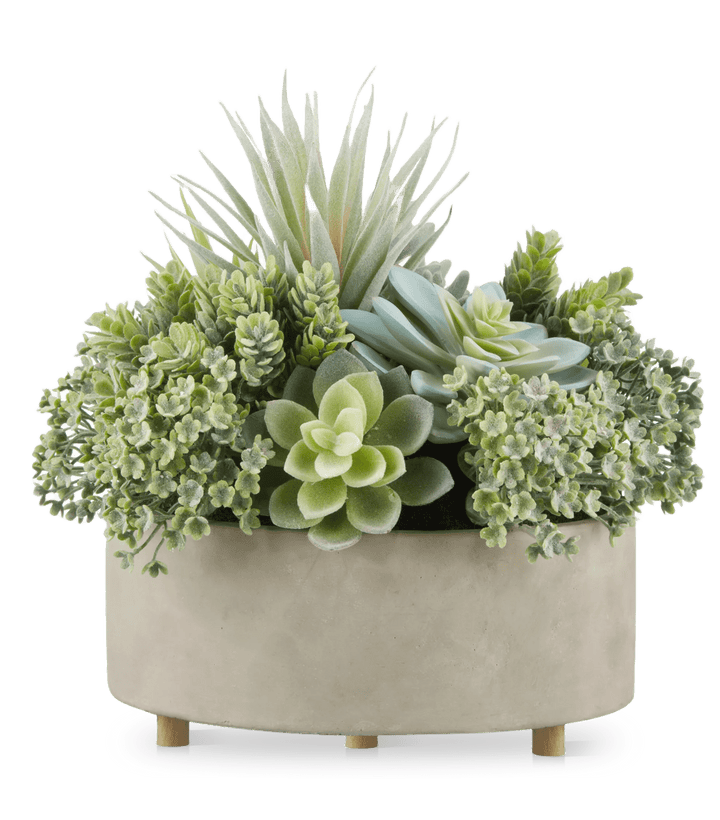 Mixed Artificial Agave in Cement Planter