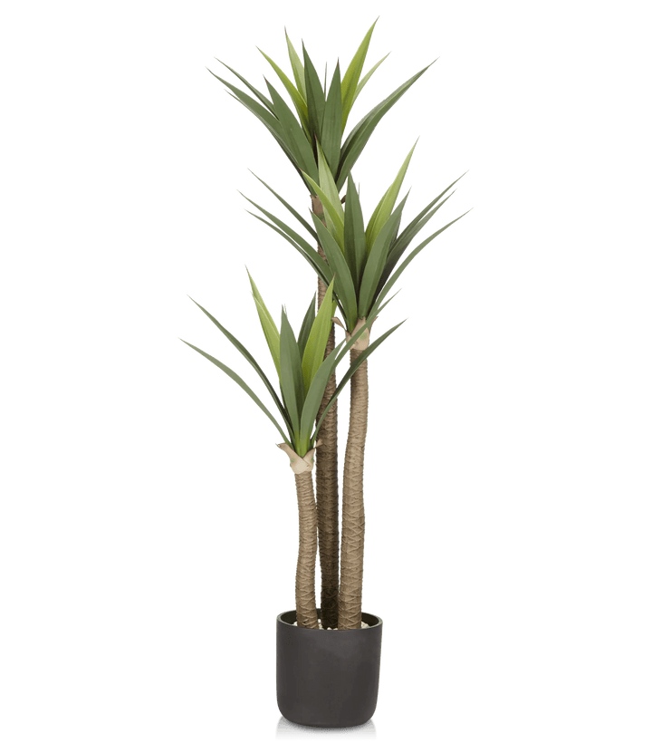 Large Artificial Tropical Tree in Black Pot