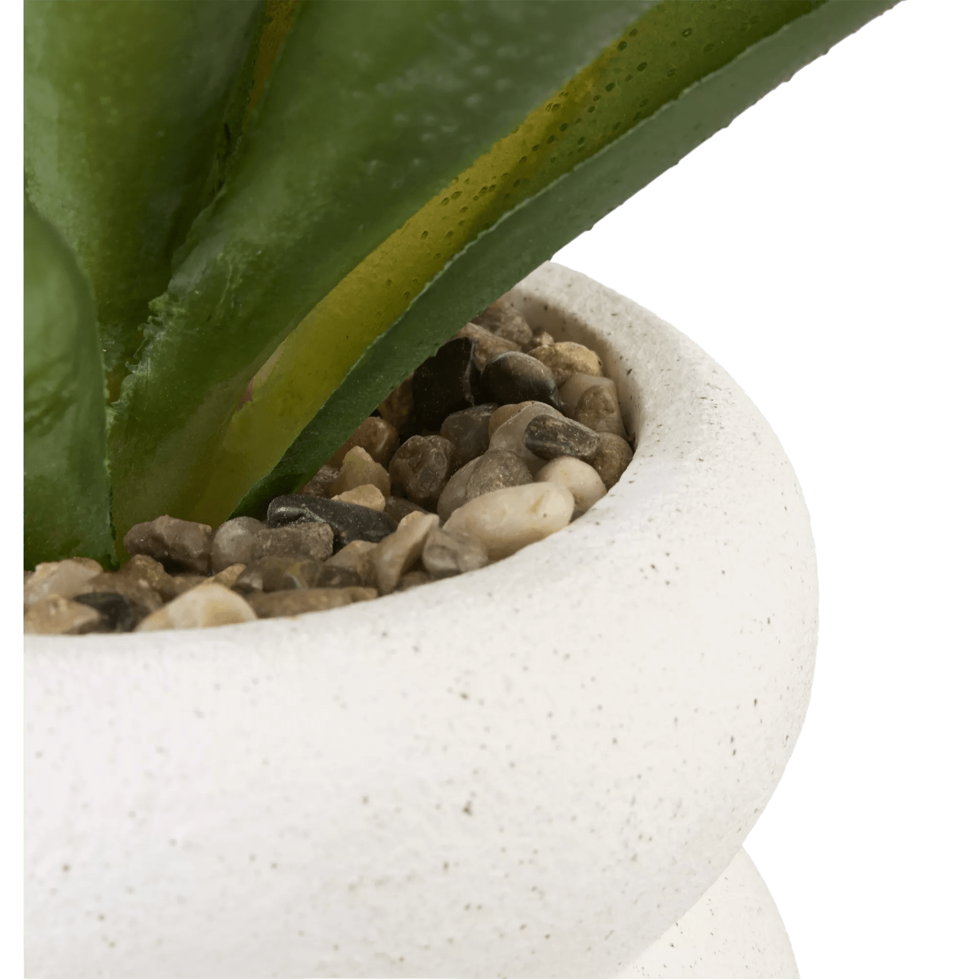 artificial plant with white pot Artificial Cast-Iron Plant in White Speckled Pot – Bouclair