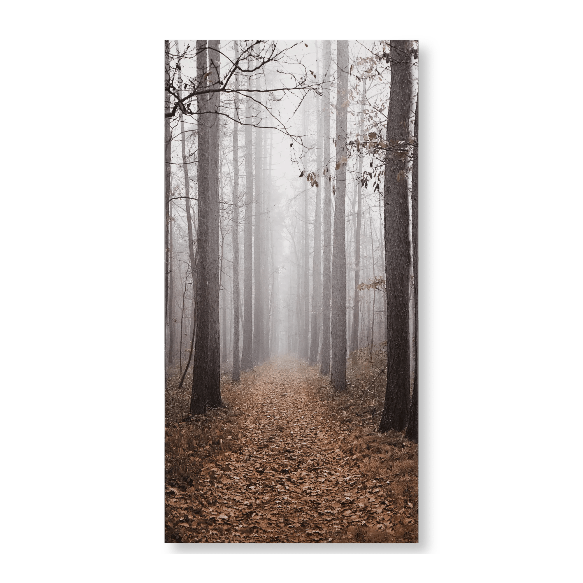 Fall Passage Printed Canvas