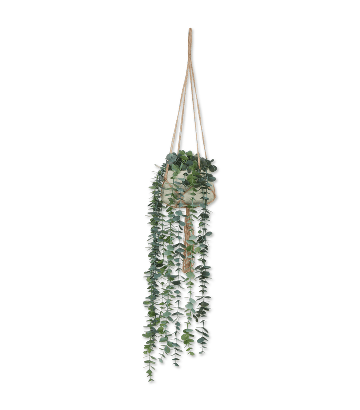 Natural Rope Hanging Eucalyptus
