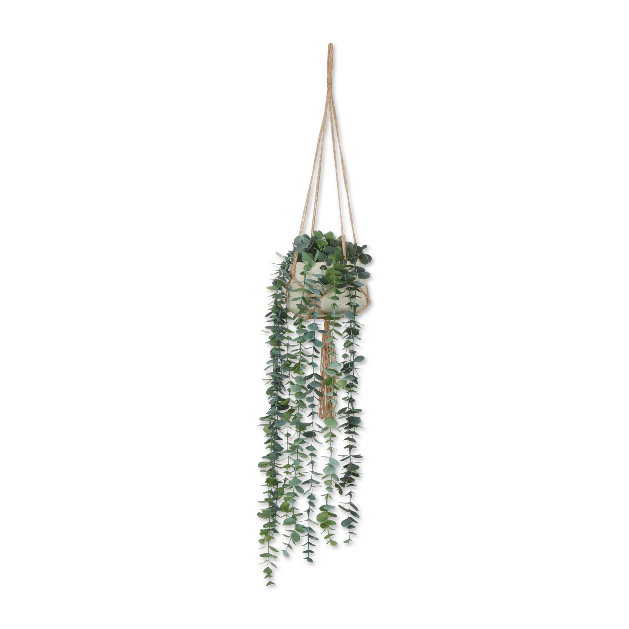 Natural Rope Hanging Eucalyptus