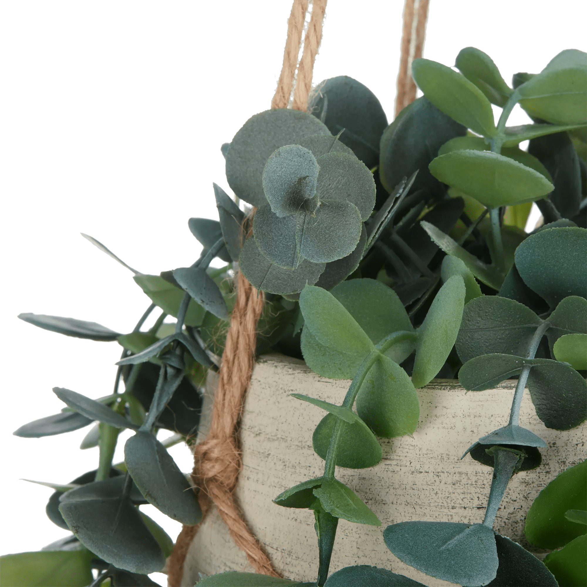 real hanging eucalyptus plant Natural Rope Hanging Eucalyptus – Bouclair