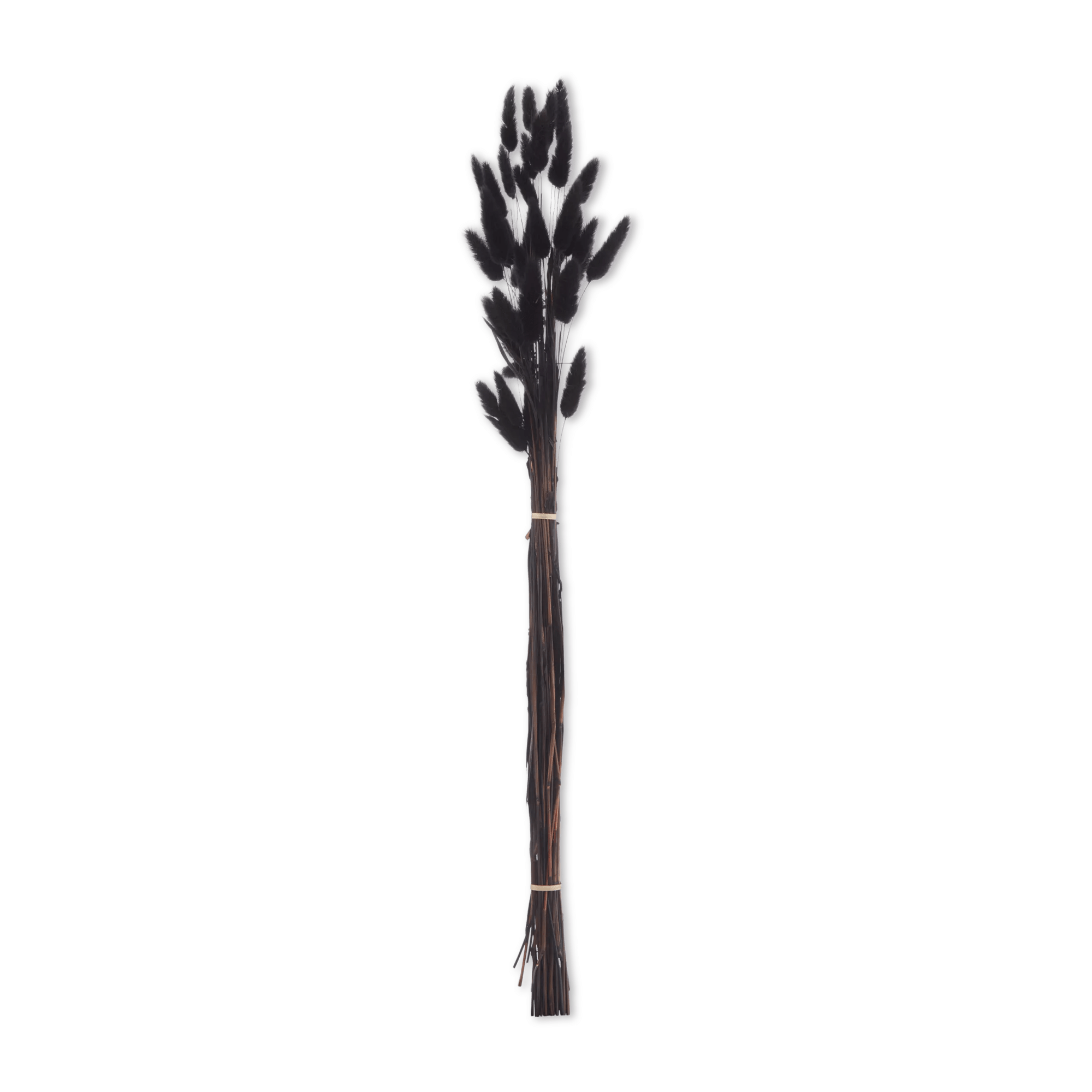 Branche noire artificielle
