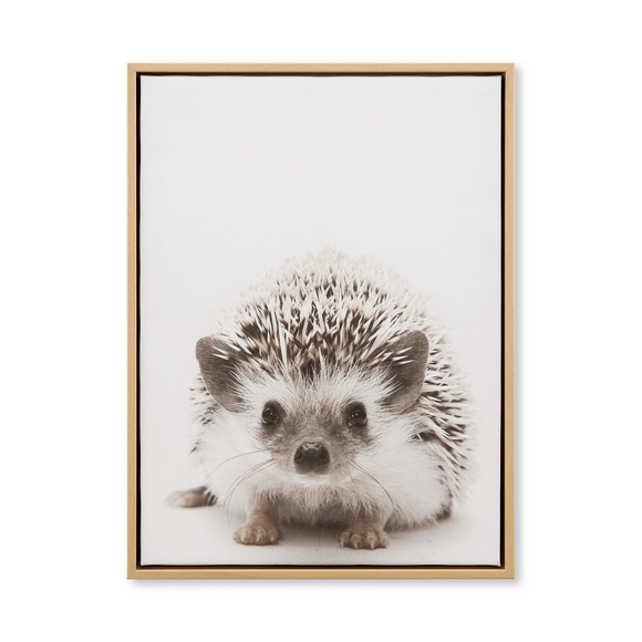 Cadre imprimé hérisson