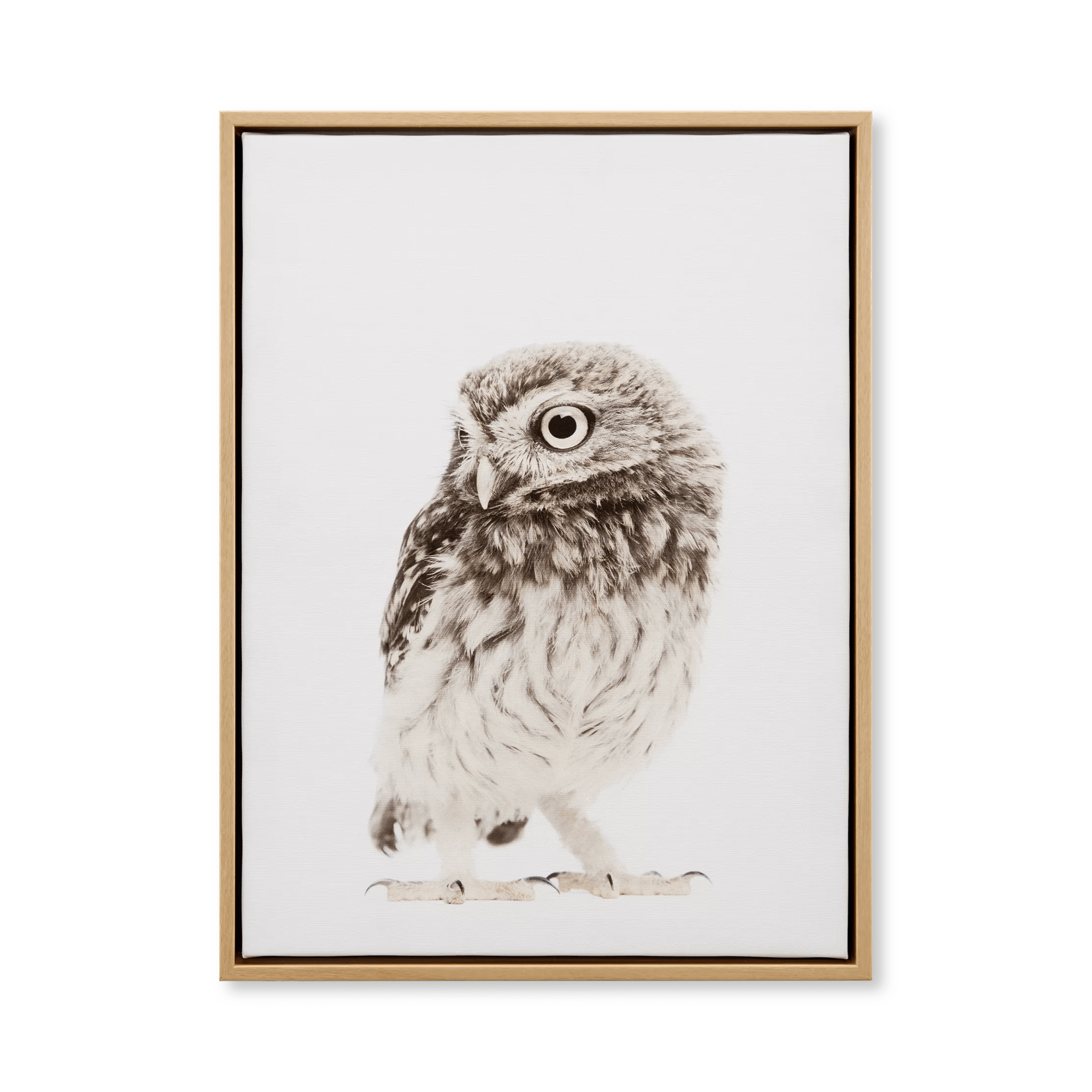 Tiny Owl Framed Art