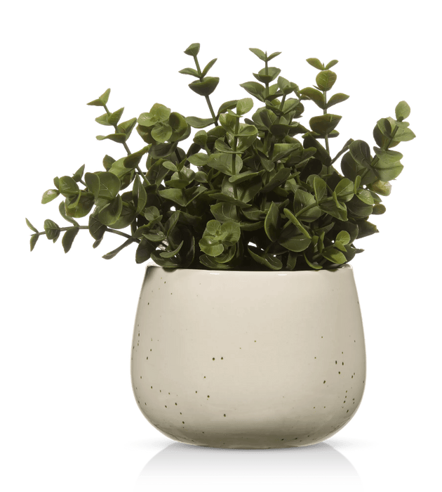 Artificial Plant in Beige Speckled Pot