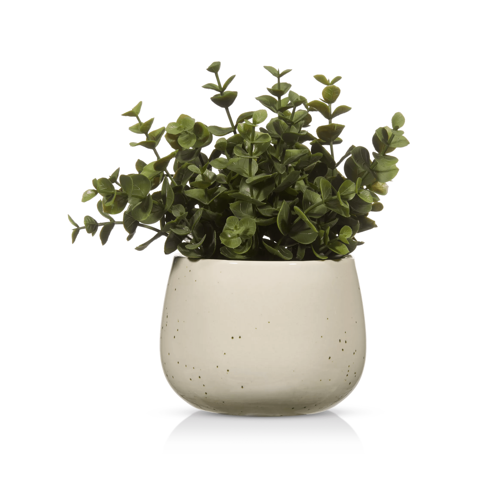 Artificial Plant in Beige Speckled Pot