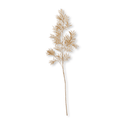 Beige Wild Leaves Stem
