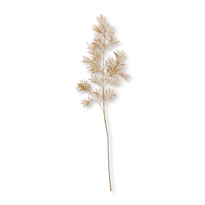 Branche de feuilles sauvages beige